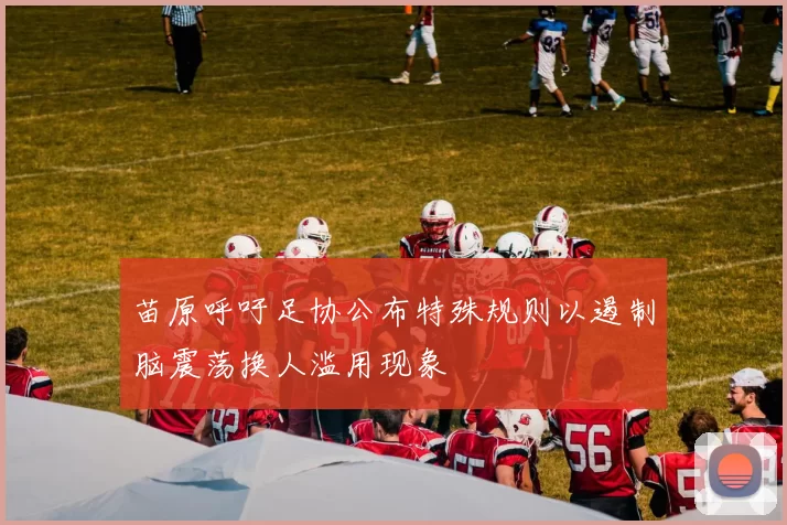 苗原呼吁足协公布特殊规则以遏制脑震荡换人滥用现象