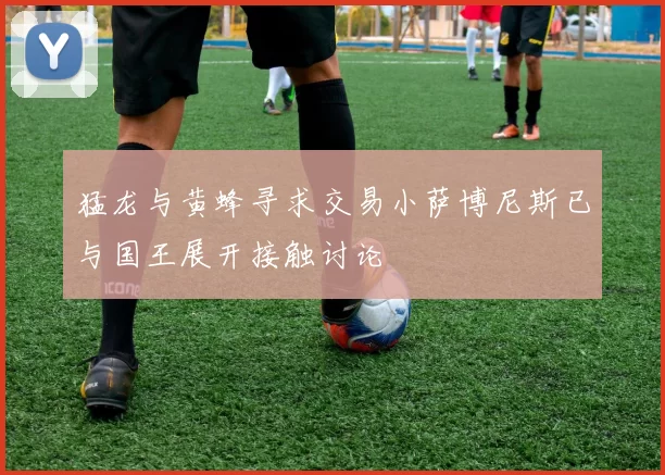 猛龙与黄蜂寻求交易小萨博尼斯已与国王展开接触讨论